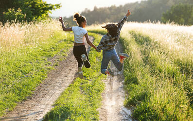 Rückansicht von fröhlichen jungen Teenager-Mädchen Freunden im Freien in der Natur, springen. - HPIF14612