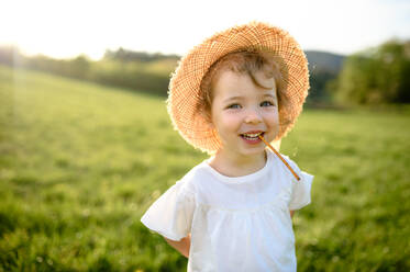 Portrait of small toddler girl standing on meadow outdoors in summer, looking at camera. - HPIF14622