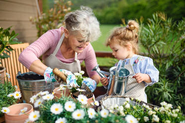 Happy senior grandmother with small granddaughter gardening on balcony in summer. - HPIF14624