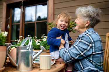 Glückliche ältere Großmutter mit kleiner Enkelin bei der Gartenarbeit auf der Terrasse im Sommer. - HPIF14629