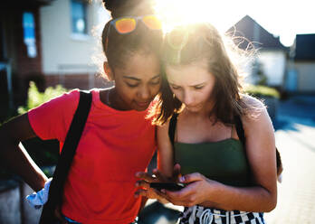 Front view of teenager girls friends outdoors in city, using sartphone. - HPIF14646