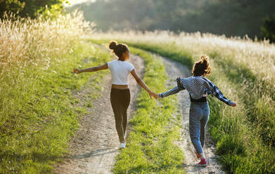 Rückansicht von fröhlichen jungen Teenager-Mädchen Freunden im Freien in der Natur, Laufen. - HPIF14655