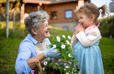 Glückliche ältere Großmutter mit kleiner Enkelin bei der Gartenarbeit im Freien im Sommer, lachend. - HPIF14667