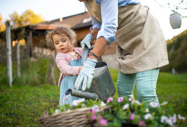 Unerkennbare ältere Großmutter mit kleiner Enkelin bei der Gartenarbeit im Freien im Sommer. - HPIF14670