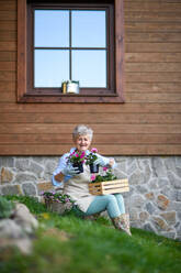 Portrait of senior woman in garden in summer, gardening. - HPIF14674