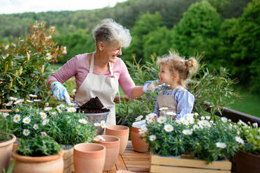 Happy senior grandmother with small granddaughter gardening on balcony in summer. - HPIF14689