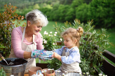 Happy senior grandmother with small granddaughter gardening on balcony in summer. - HPIF14690