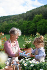 Happy senior grandmother with small granddaughter gardening on balcony in summer. - HPIF14691