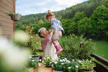Glückliche ältere Großmutter mit kleiner Enkelin bei der Gartenarbeit auf dem Balkon im Sommer, die Spaß hat. - HPIF14695