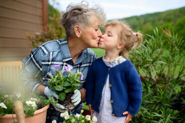 Glückliche ältere Großmutter mit kleiner Enkelin bei der Gartenarbeit auf dem Balkon im Sommer, küssend. - HPIF14698