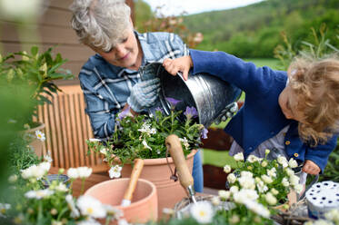 Happy senior grandmother with small granddaughter gardening on balcony in summer. - HPIF14699