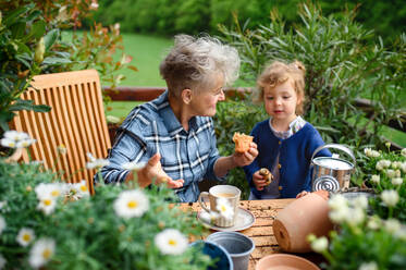 Ältere Großmutter mit kleiner Enkelin bei der Gartenarbeit auf dem Balkon im Sommer, beim Essen eines Snacks. - HPIF14700