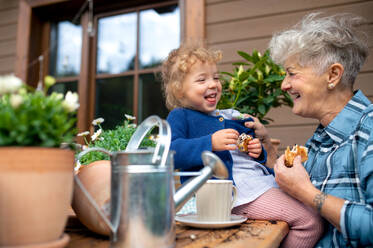 Ältere Großmutter mit kleiner Enkelin bei der Gartenarbeit auf dem Balkon im Sommer, beim Essen eines Snacks. - HPIF14702