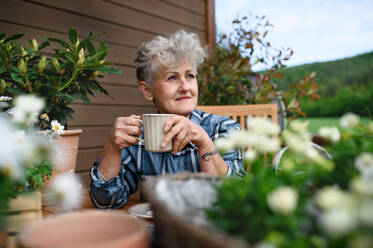 Porträt einer älteren Frau mit Kaffee auf der Terrasse im Sommer, die sich ausruht. - HPIF14703