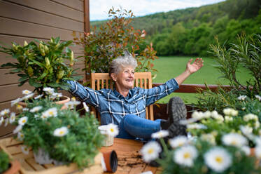 Fröhliche ältere Großmutter bei der Gartenarbeit auf dem Balkon im Sommer, beim Ausruhen. - HPIF14708