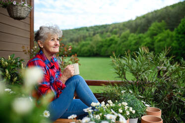 Porträt einer älteren Frau mit Kaffee auf der Terrasse im Sommer, die sich ausruht. - HPIF14709