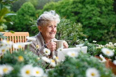 Porträt einer älteren Frau mit Laptop und Kaffee, die im Sommer auf der Terrasse sitzt und sich ausruht. - HPIF14714