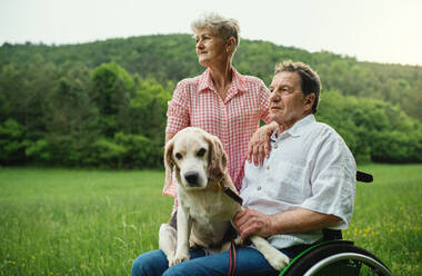 Porträt eines älteren Paares mit Hund bei einem Spaziergang auf einer Wiese in der Natur, beim Ausruhen. - HPIF14773