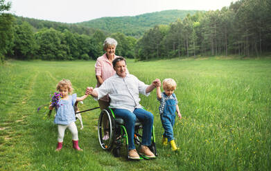 Kleine Kinder mit älteren Großeltern im Rollstuhl und Hund bei einem Spaziergang auf einer Wiese in der Natur. - HPIF14774