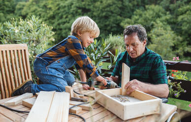 Happy small boy with senior grandfather in wheelchair constructing birdhouse, diy project. - HPIF14789