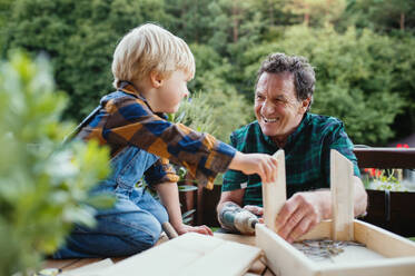 Happy small boy with senior grandfather constructing birdhouse, diy project. - HPIF14792