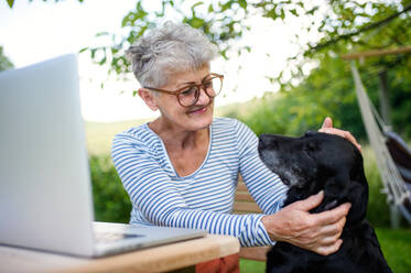 Aktive ältere Frau mit Laptop und Hund arbeitet am Tisch im Freien im Garten, Home-Office-Konzept. - HPIF14810