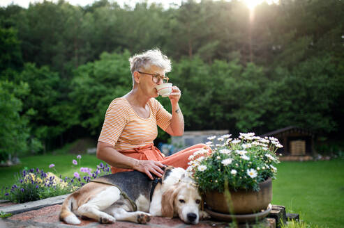 Side view portrait of senior woman with pet dog sitting outdoors in garden, relaxing with coffee. - HPIF14814