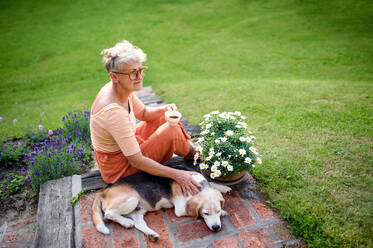 Side view portrait of senior woman with pet dog sitting outdoors in garden, relaxing with coffee. - HPIF14815