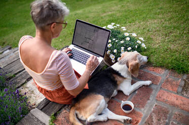 Eine Rückansicht von Senior Architektin mit Laptop arbeiten im Freien im Garten, Home-Office-Konzept. - HPIF14816