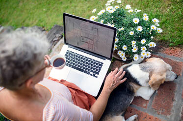 Draufsicht auf ältere Frau Architektin mit Laptop und Hund arbeiten im Freien im Garten, Home-Office-Konzept. - HPIF14817