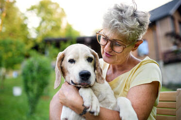 Porträt einer älteren Frau, die im Garten steht und sich ausruht und einen Hund hält. - HPIF14832