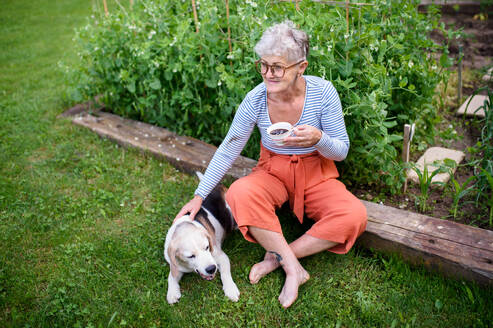 Portrait of senior woman with coffee sitting outdoors in garden, pet dog friendship concept. - HPIF14865