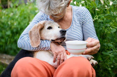 Portrait of senior woman with coffee sitting outdoors in garden, pet dog friendship concept. - HPIF14867