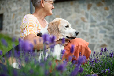 Portrait of senior woman with dog sitting and resting outdoors in garden, pet friendship. - HPIF14870