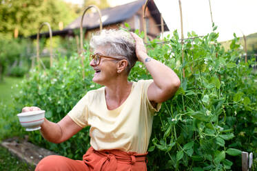 Porträt einer zufriedenen älteren Frau, die im Freien im Gemüsegarten sitzt und eine Tasse Kaffee in der Hand hält. - HPIF14875
