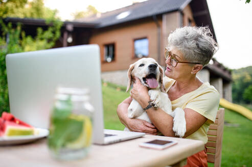 Happy senior woman with laptop and dog working outdoors in garden, green home office concept. - HPIF14881