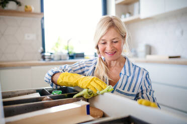 Porträt einer glücklichen älteren Frau, die zu Hause Küchenschranktüren und Schubladen reinigt. - HPIF14934