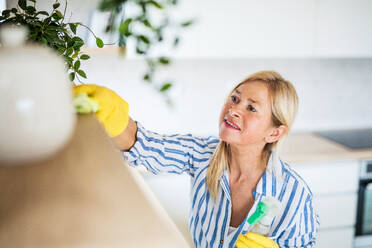 Portrait of happy senior woman cleaning shelves indoors at home. - HPIF14936