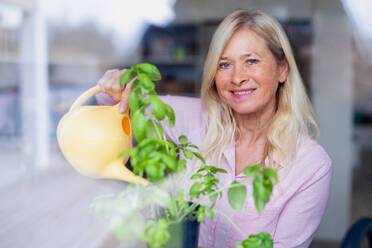 Front view portrait of senior woman watering plant herbs indoors at home. - HPIF14945