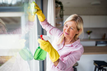 Porträt einer älteren Frau mit Handschuhen beim Fensterputzen zu Hause. - HPIF14946