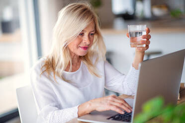 Porträt einer älteren Frau mit einem Glas Wasser und einem Laptop in einem Büro zu Hause bei der Arbeit. - HPIF14975