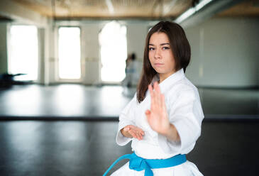 Eine attraktive junge Frau, die drinnen in der Turnhalle Karate übt. Raum kopieren. - HPIF15112