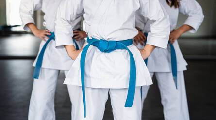 Eine Gruppe junger Karatekas steht in einer Turnhalle, in der Mitte des Raumes. - HPIF15115