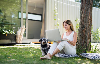 Mature woman with pet dog working in home office outdoors in garden, using laptop. - HPIF15167