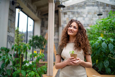 Portrait of woman gardener standing in greenhouse, holding small plant. - HPIF15257