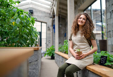 Porträt einer Gärtnerin, die im Gewächshaus sitzt und eine kleine Pflanze hält. - HPIF15259