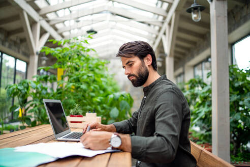 Porträt eines jungen Mannes mit Laptop, der drinnen in einem grünen Büro sitzt und arbeitet. - HPIF15268