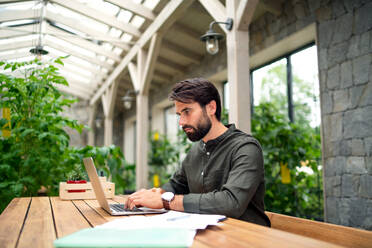 Porträt eines jungen Mannes mit Laptop, der drinnen in einem grünen Büro sitzt und arbeitet. - HPIF15269