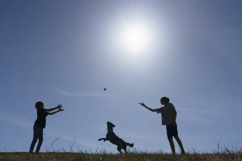 Silhouette von zwei Jungen (12-13) und Hund, die auf einer Wiese spielen - ISF26066
