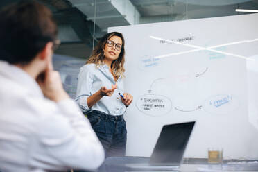 Professional woman leads a discussion on a project flowchart as part of the product development process. Business woman explaining each step of her strategy during a team meeting in an office. - JLPPF01993